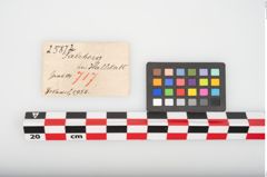 Etikett zu Bronzekugelkopfnadel (NHMW-PRAE-025872)